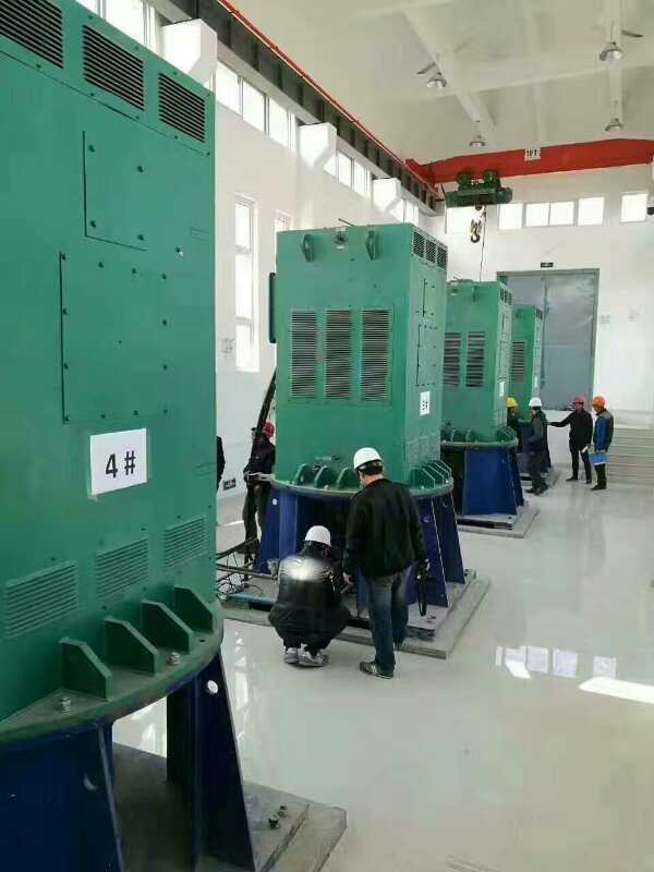 儋州某污水处理厂使用我厂的立式高压电机安装现场